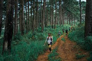 BIB: 
                            <button type="button" onclick="openModal(25668534)" class="btn btn-primary btn-sm float-right btn-popup" data-toggle="modal" data-target=".modal-high-quality">
                        <i class="fas fa-shopping-cart"></i> Add to Cart
                    </button>
                                            <button type="button" onclick="isThisMe(25668534, true)" class="btn btn-success btn-sm float-right btn-popup btn-isme hidden" data-toggle="tooltip" data-placement="bottom" title="นี่คือรูปของคุณใช่ไหม คลิกที่นี่เพื่อเอาเข้าอัลบั้ม">
                        <i class="fas fa-plus"></i> Add to album
                    </button>
                    <button type="button" onclick="isThisMe(25668534, false)" class="btn btn-warning btn-sm float-right btn-popup btn-isnotme hidden">
                        <i class="fas fa-ban"></i> Remove from album
                    </button>